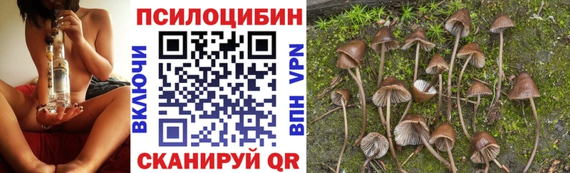 Купить где  Котово  Псилоцибиновые грибы Magic Shrooms 